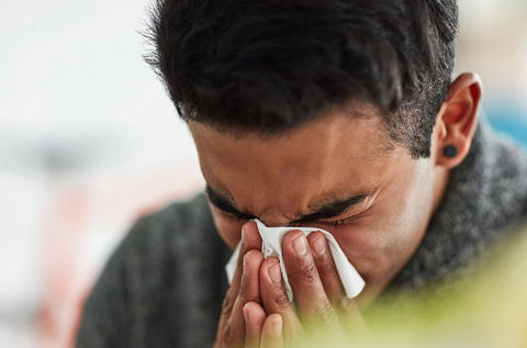 Høfeber – få styr på en af de mest almindelige allergiske sygdomme.  