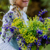 Klimaforandringerne har indflydelse på pollensæsonen 