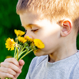 Får mine børn allergi?